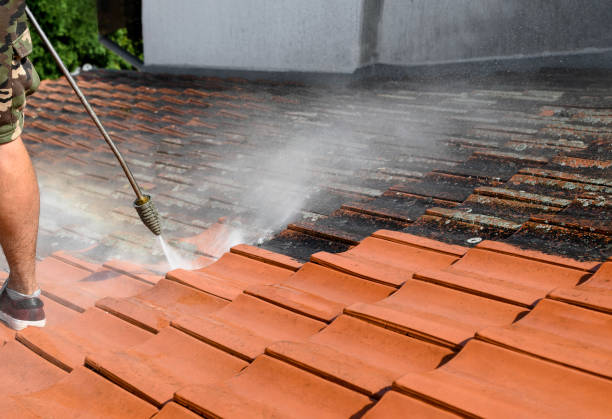 Best Sidewalk Pressure Washing  in Nokomis, IL